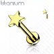 Labret earring made of titanium with star PiercedFish TIL14 for cartilage piercing of the ear, lips (1 pc)