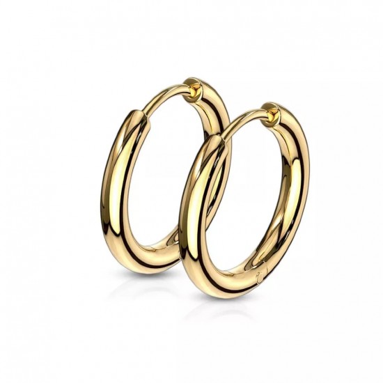 Spikes SE3065G hoop earrings steel colors yellow gold (pair)