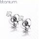 Titanium stud earrings (studs) Spikes T23ER01 with cubic zirconia from 2 to 5 mm (pair)