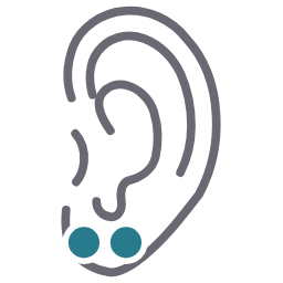 Схема: Transverse lobe — поперечний прокол мочки